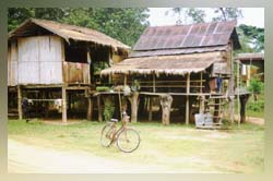 Village houses